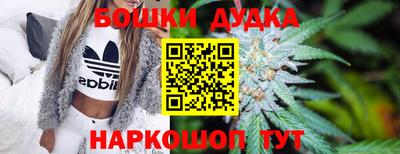 СК Донской