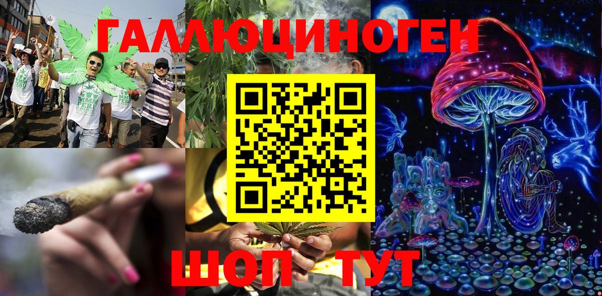 Псилоцибиновые грибы Cubensis  Вход с VPN  Галлюциногенные грибы Cubensis  Новотроицк 