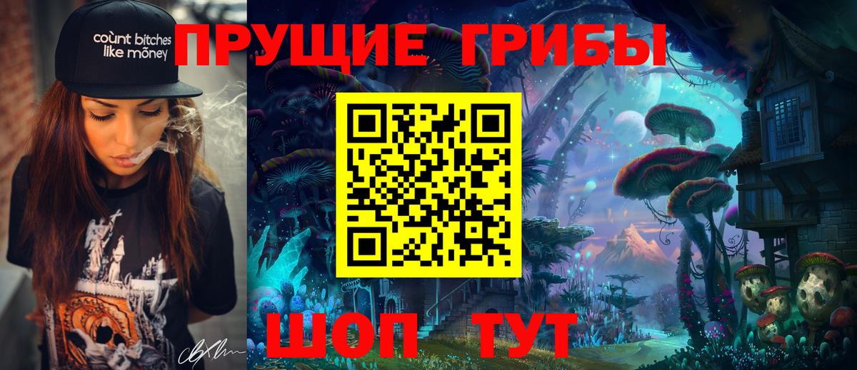 Псилоцибиновые грибы Psilocybine cubensis Новотроицк